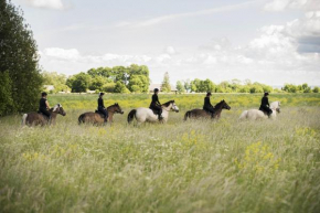 Tihuse Horsefarm B&B